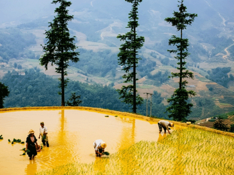 Sapa 2 Day Minority Trek – 1 night village
